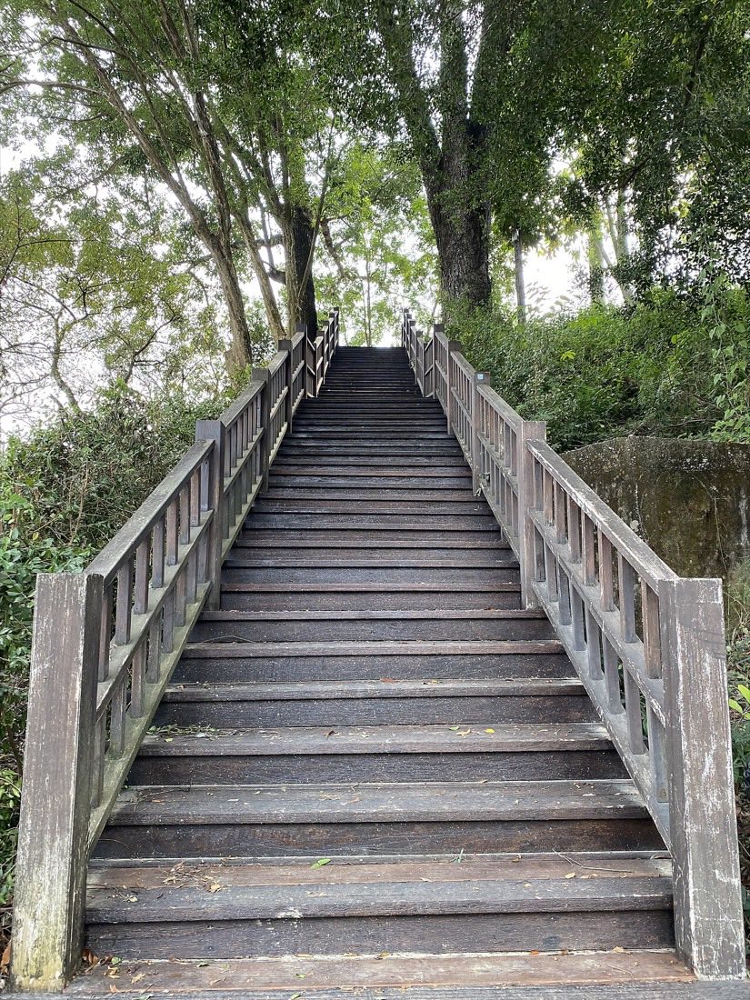 梅山公園園內步道的階梯段，兩側有扶手與植栽